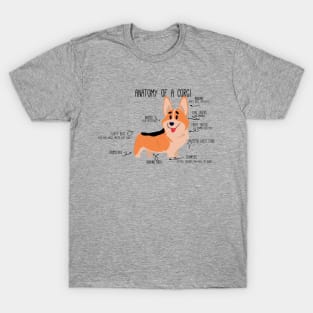 Anatomy of a Corgi T-Shirt